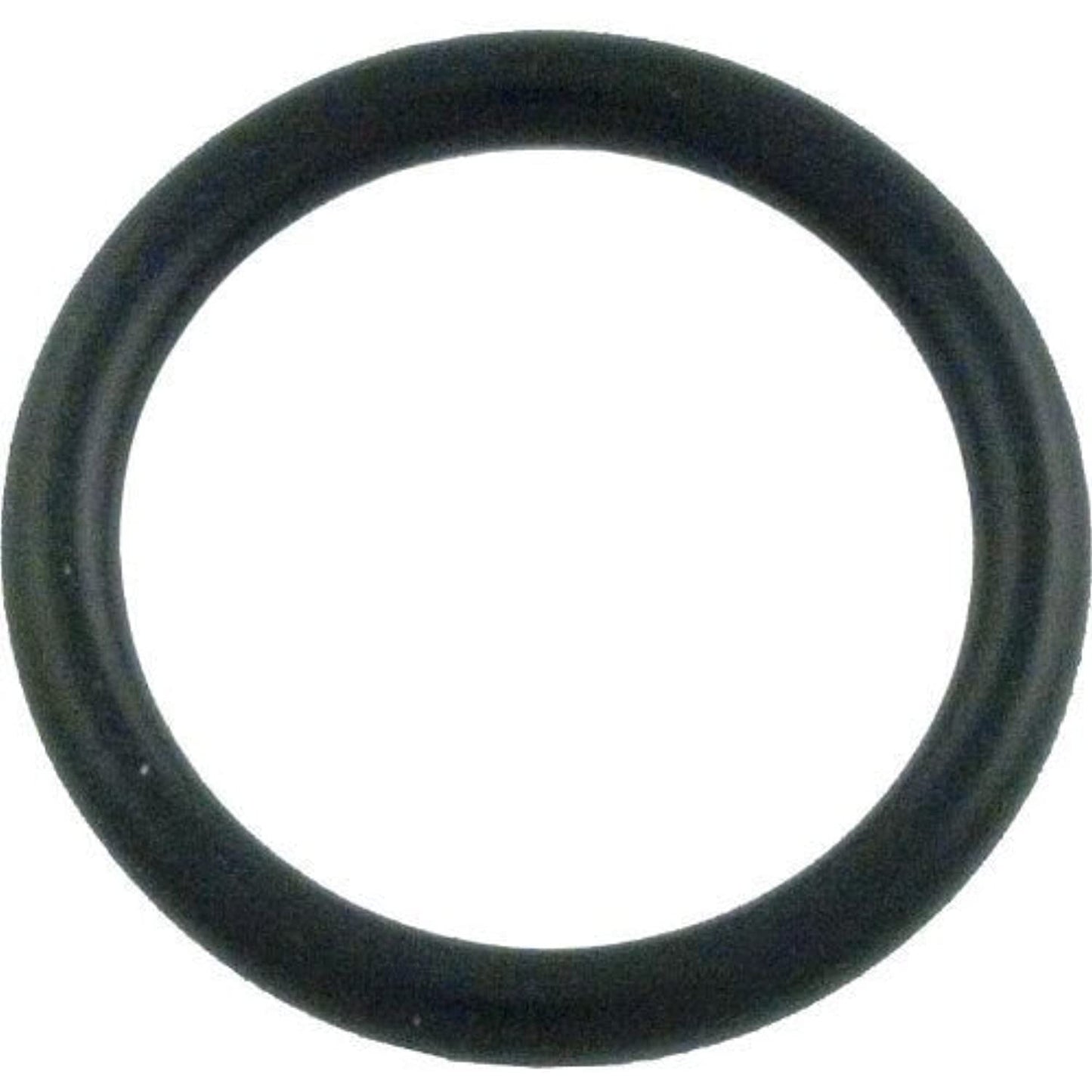 Pentair 273090 O-Ring Replacement44; 1.5 x 0.188 in.