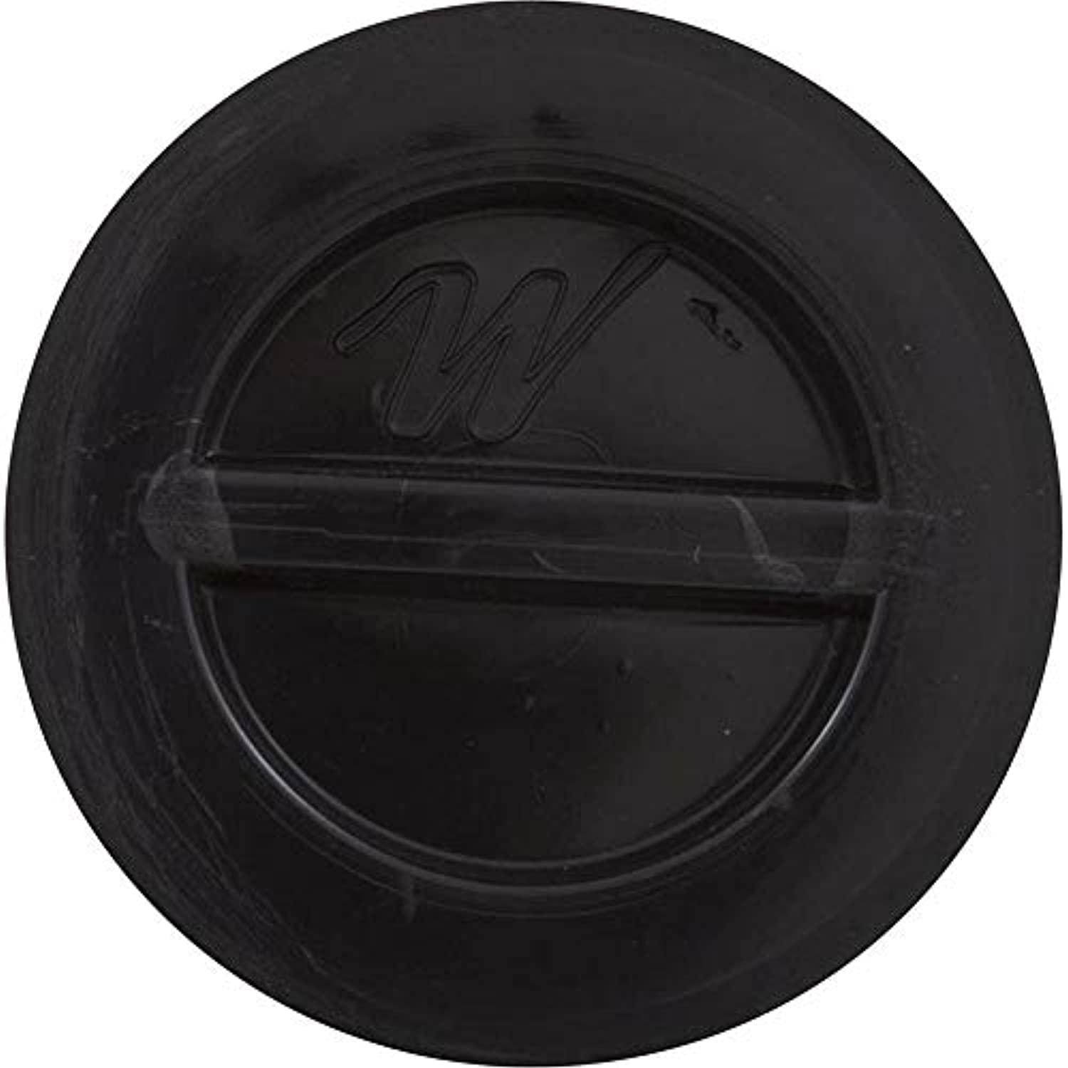 Waterway Plastics WW4004141 1.5 in. Male Pipe Thread Flush Plug - Getlegitdeals