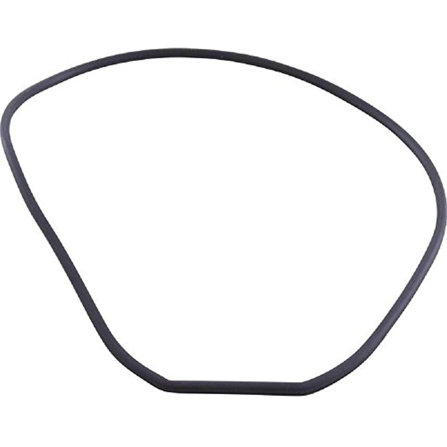 Waterway 711-4290 Wateryway Pump Face Plate Gasket - Getlegitdeals