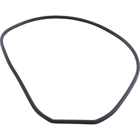 Waterway 711-4290 Wateryway Pump Face Plate Gasket - Getlegitdeals