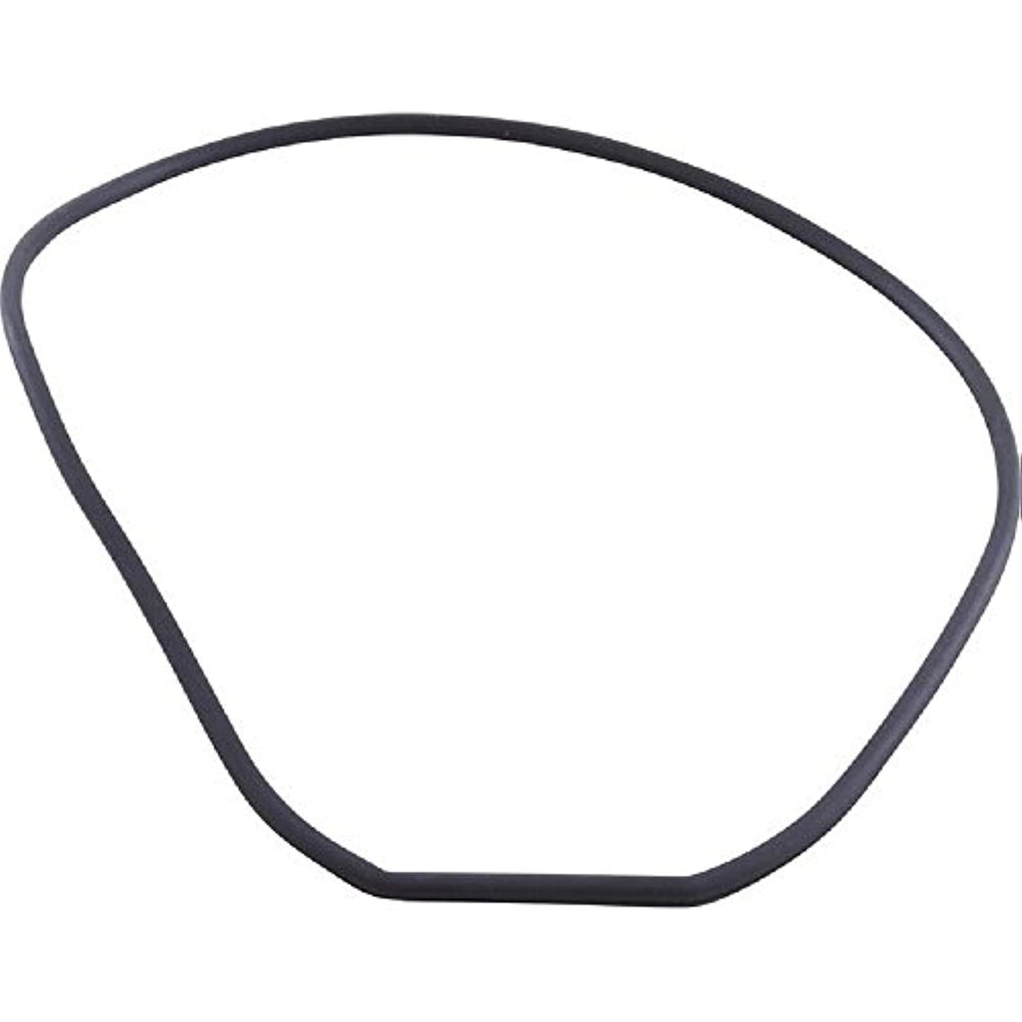 Waterway 711-4290 Wateryway Pump Face Plate Gasket