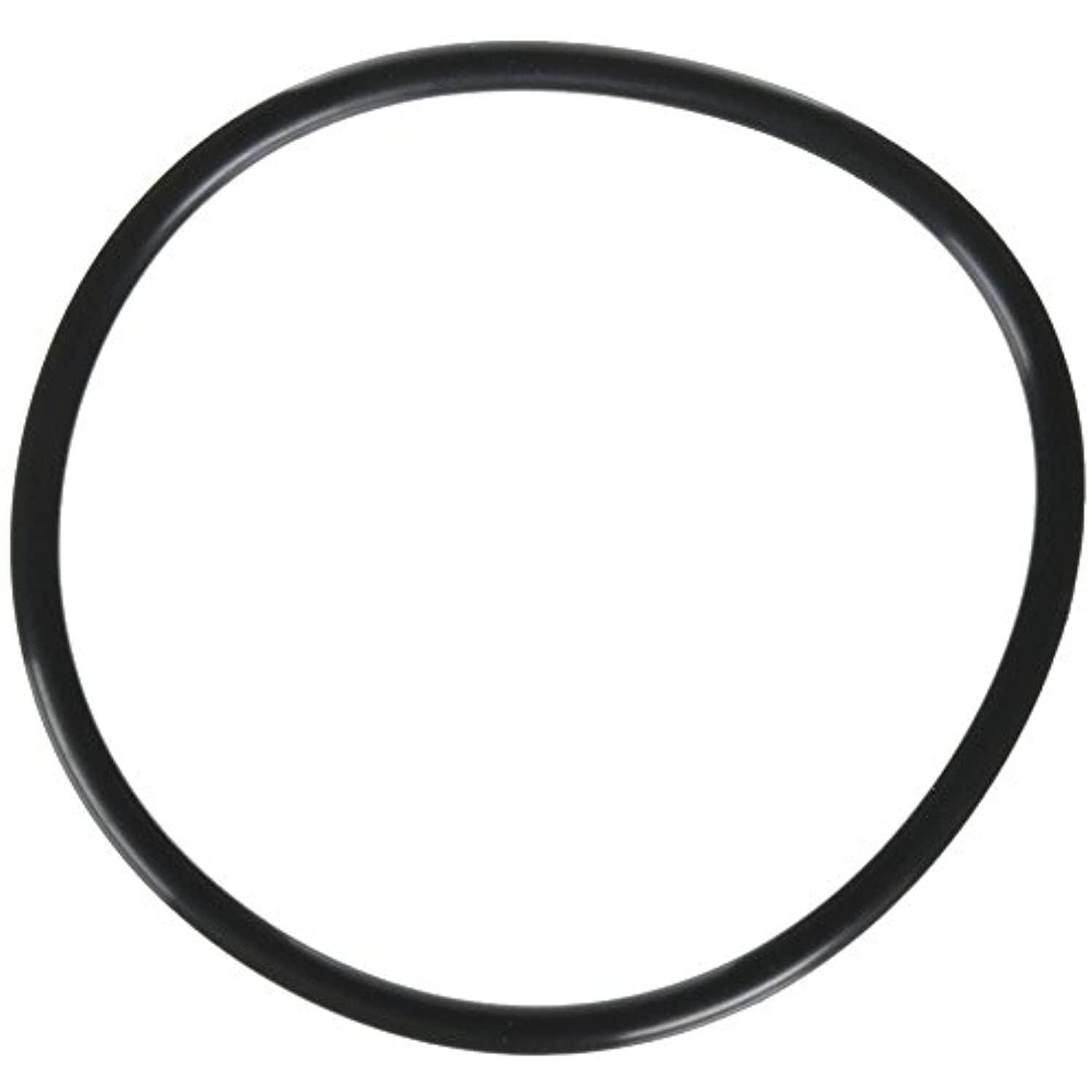 Zodiac R0480200 Lid O-Ring Replacement for Zodiac Jandy FloPro FHPM Series Pump - Getlegitdeals