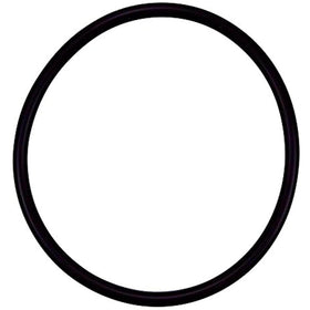 Pentair R172009 Cap O-Ring Replacement Pool and Spa Filter and Feeder - Getlegitdeals