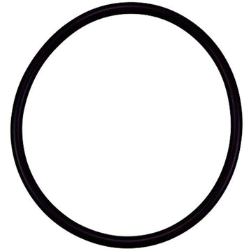 Pentair R172009 Cap O-Ring Replacement Pool and Spa Filter and Feeder - Getlegitdeals