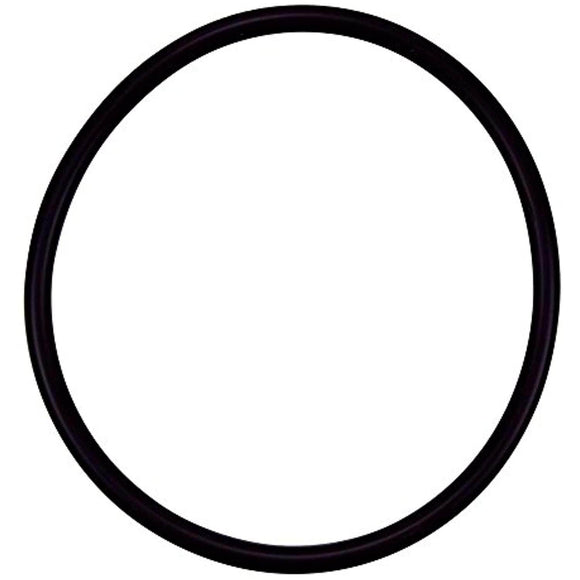 Pentair R172009 Cap O-Ring Replacement Pool and Spa Filter and Feeder - Getlegitdeals