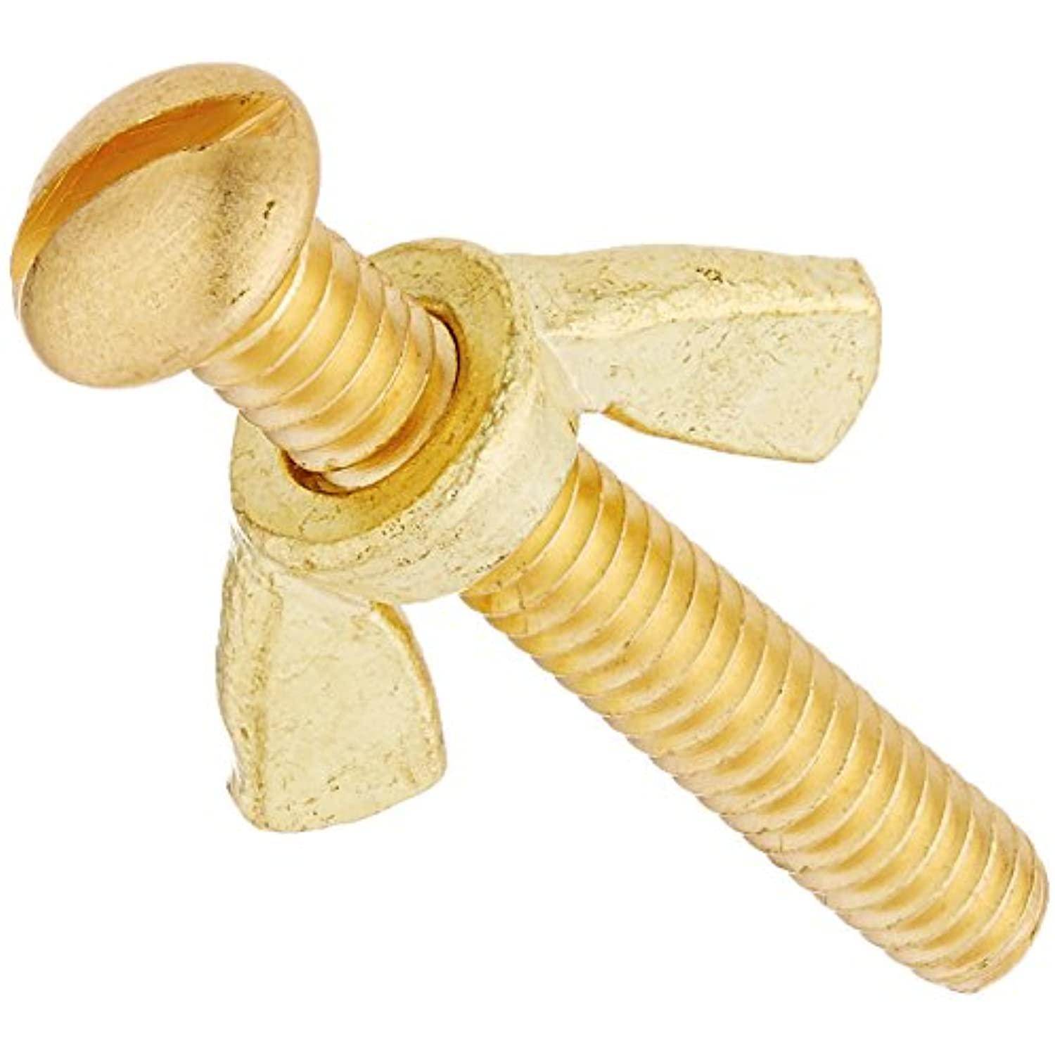 Pentair R221156 155 Brass Bolt and Wing Nut - Getlegitdeals