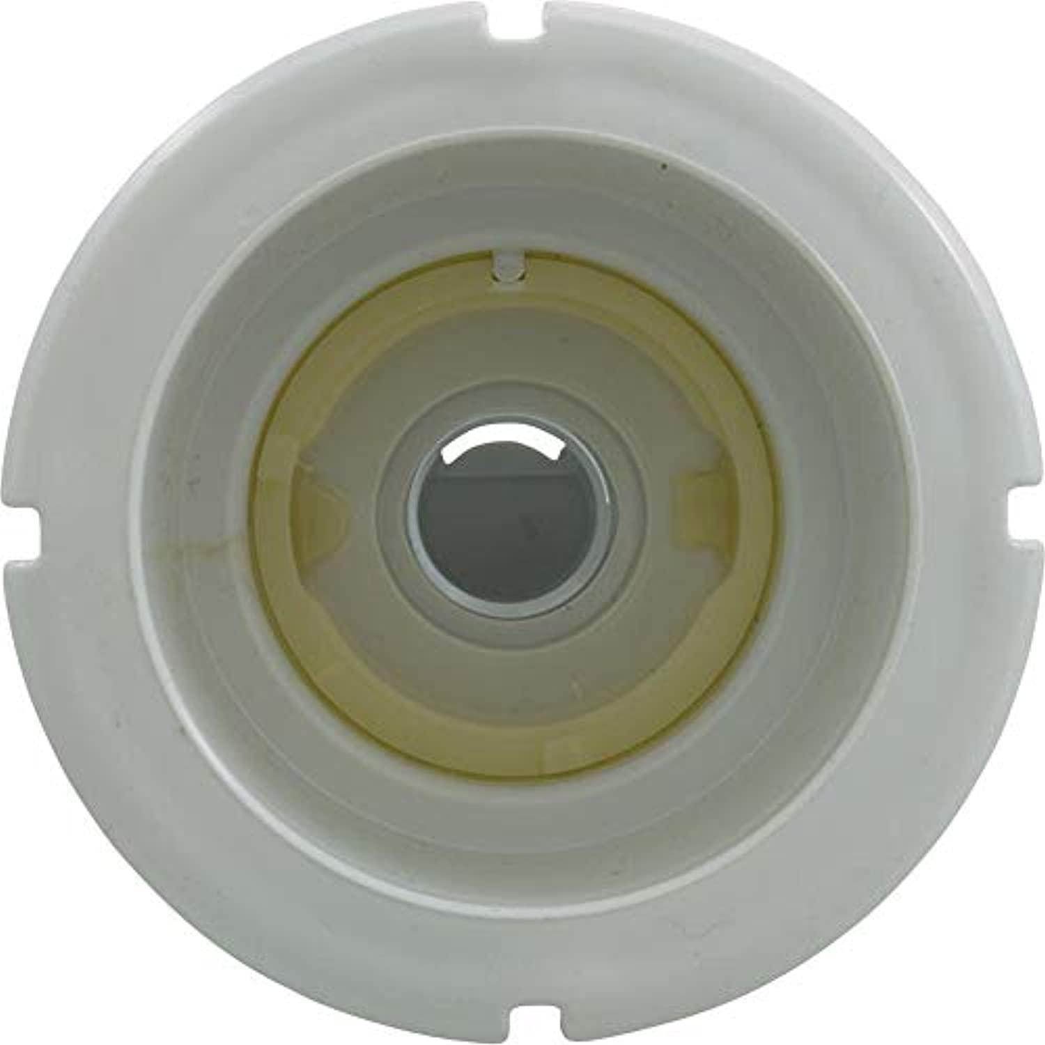 Waterway 215-1190 Poly Storm Gunite Threaded White Wall Fitting - Getlegitdeals