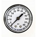Super Pro Pressure Pool Filter Gauge, 0-60 Psi, 1/4" Nipple - Getlegitdeals