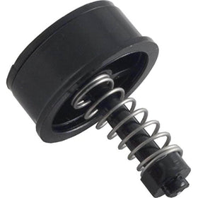 Pentair by-Pass Assembly R172226X - Getlegitdeals