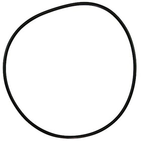 Pentair 071433 O-Ring Replacement C-Series C-18 Commercial Pool and Spa Pump - Getlegitdeals