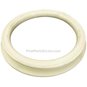 Waterway Double Seal Gasket for Power Storm Jets 711-6620 - Getlegitdeals