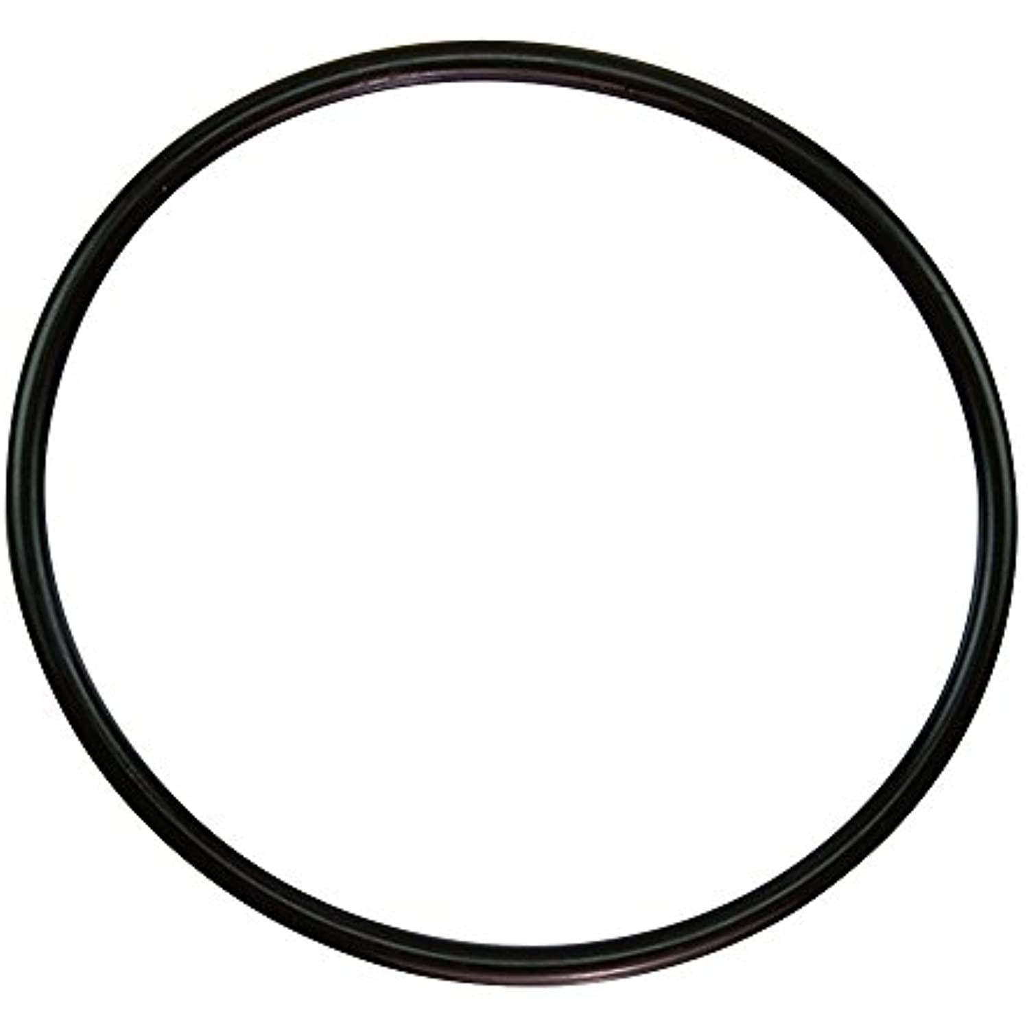 Pentair 350013 Lid O-Ring, Challenger (All), WFE (After 11/98) - Getlegitdeals