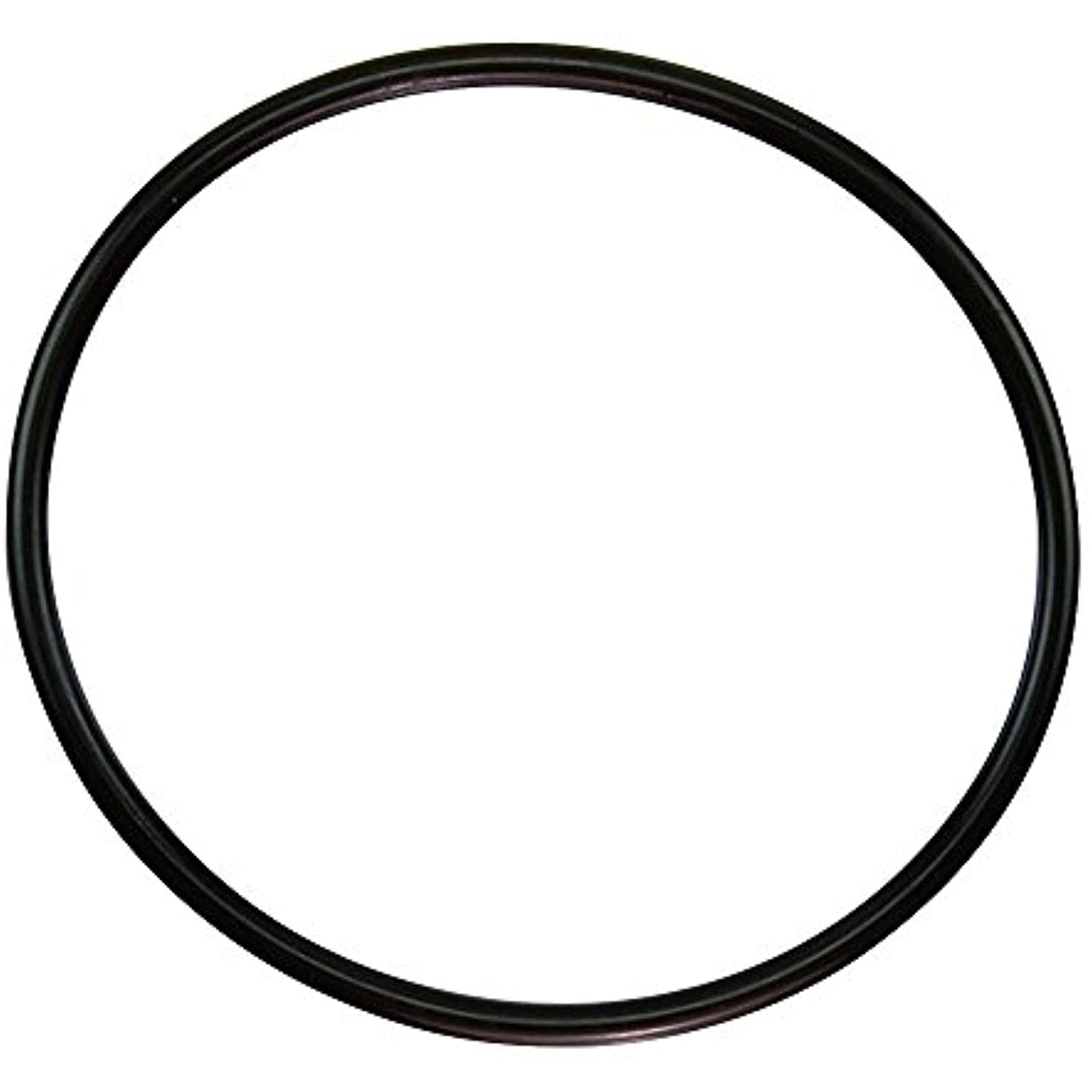 Pentair 350013 Lid O-Ring, Challenger (All), WFE (After 11/98)