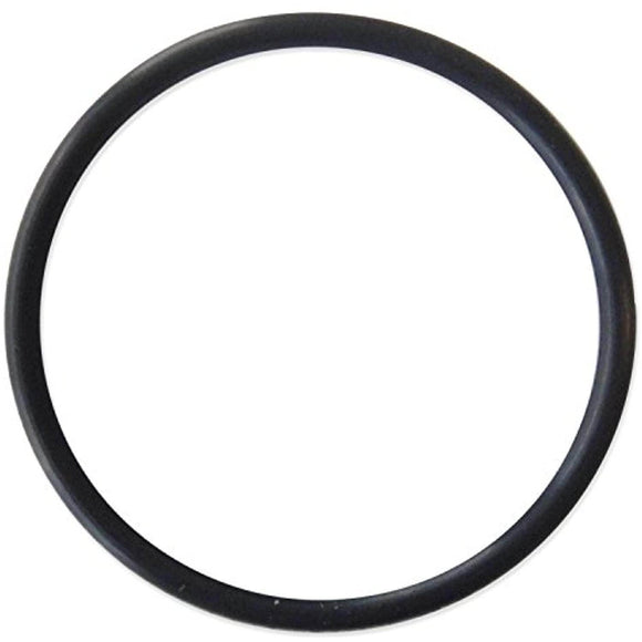 Pentair Rainbow Automatic Chemical Feeder Replacement Cap O-Ring - R172009 - Getlegitdeals