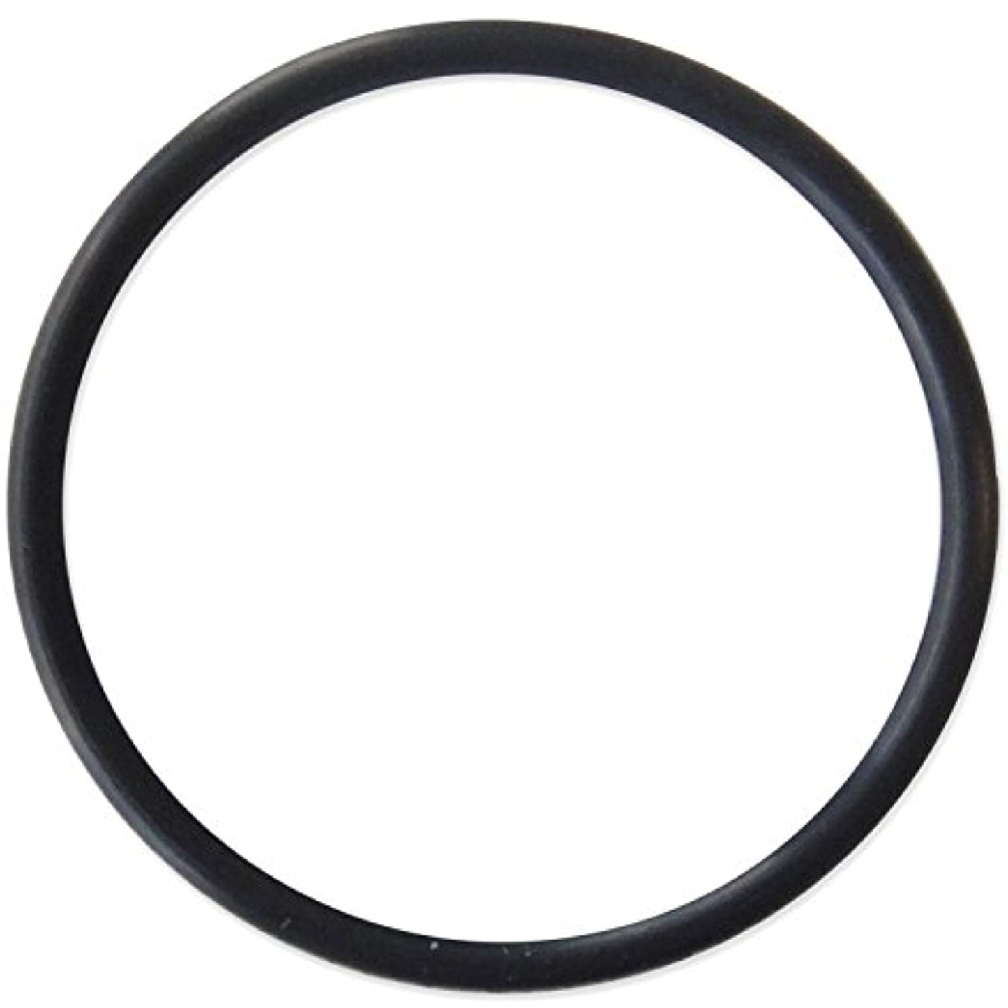 Pentair Rainbow Automatic Chemical Feeder Replacement Cap O-Ring - R172009