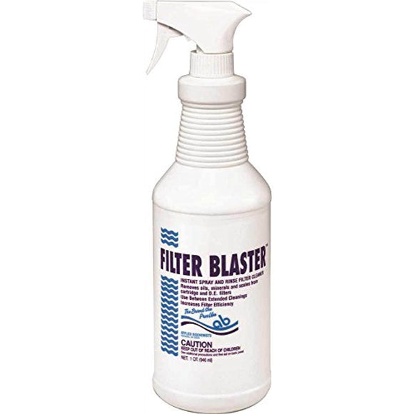 Advantis 400720A 1 Qt. Filter Blaster Cleaner - Getlegitdeals