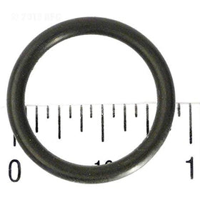 Waterway Plastics 806105129390 O-Ring - Getlegitdeals