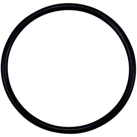 Pentair 355330 Strainer Pot Flange O-Ring Replacement Pool/Spa Pump, Filter and Skimmers - Getlegitdeals