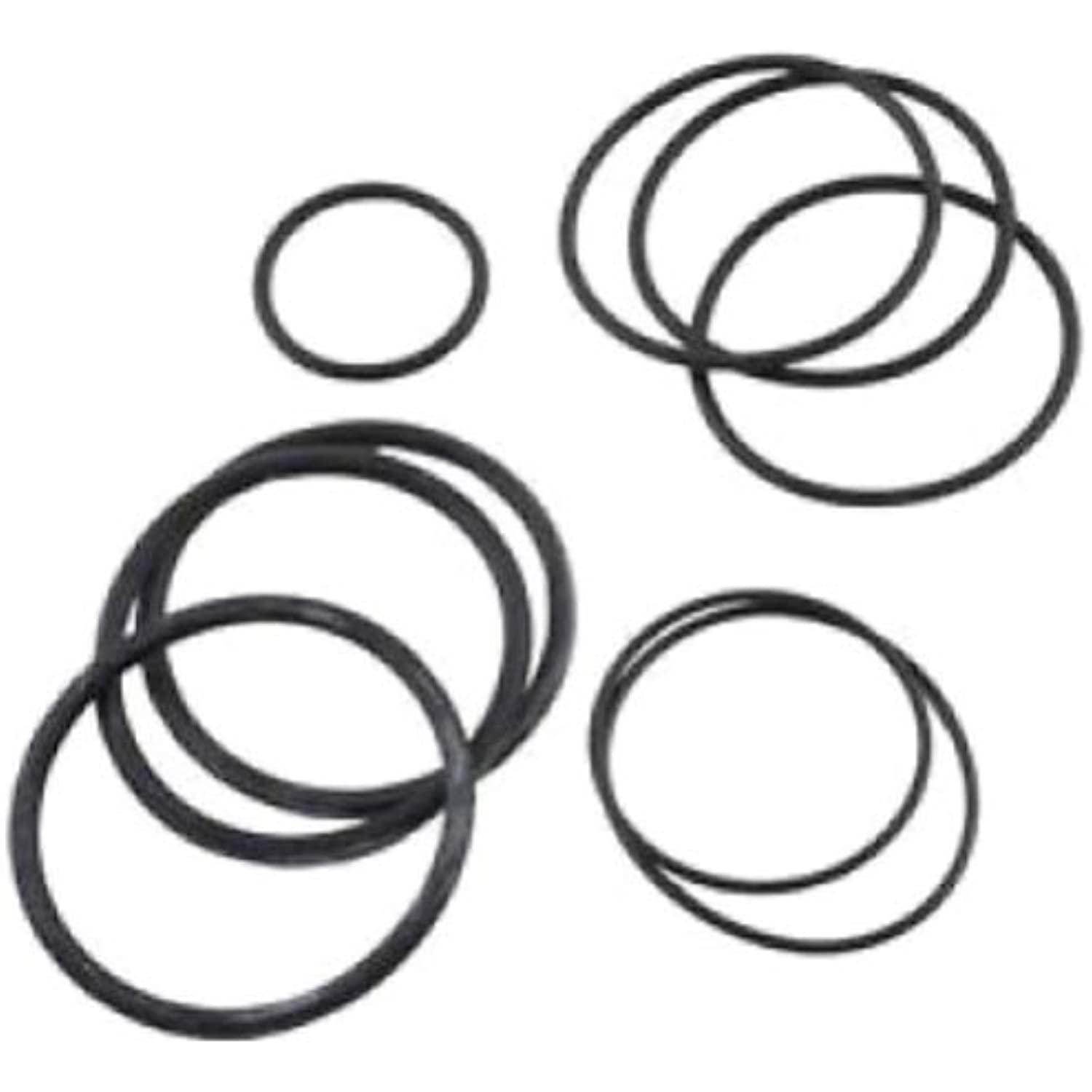 Jandy DEL DEV CL CV Pool Filter O-Ring Replacement Kit Part R0358000 - Getlegitdeals