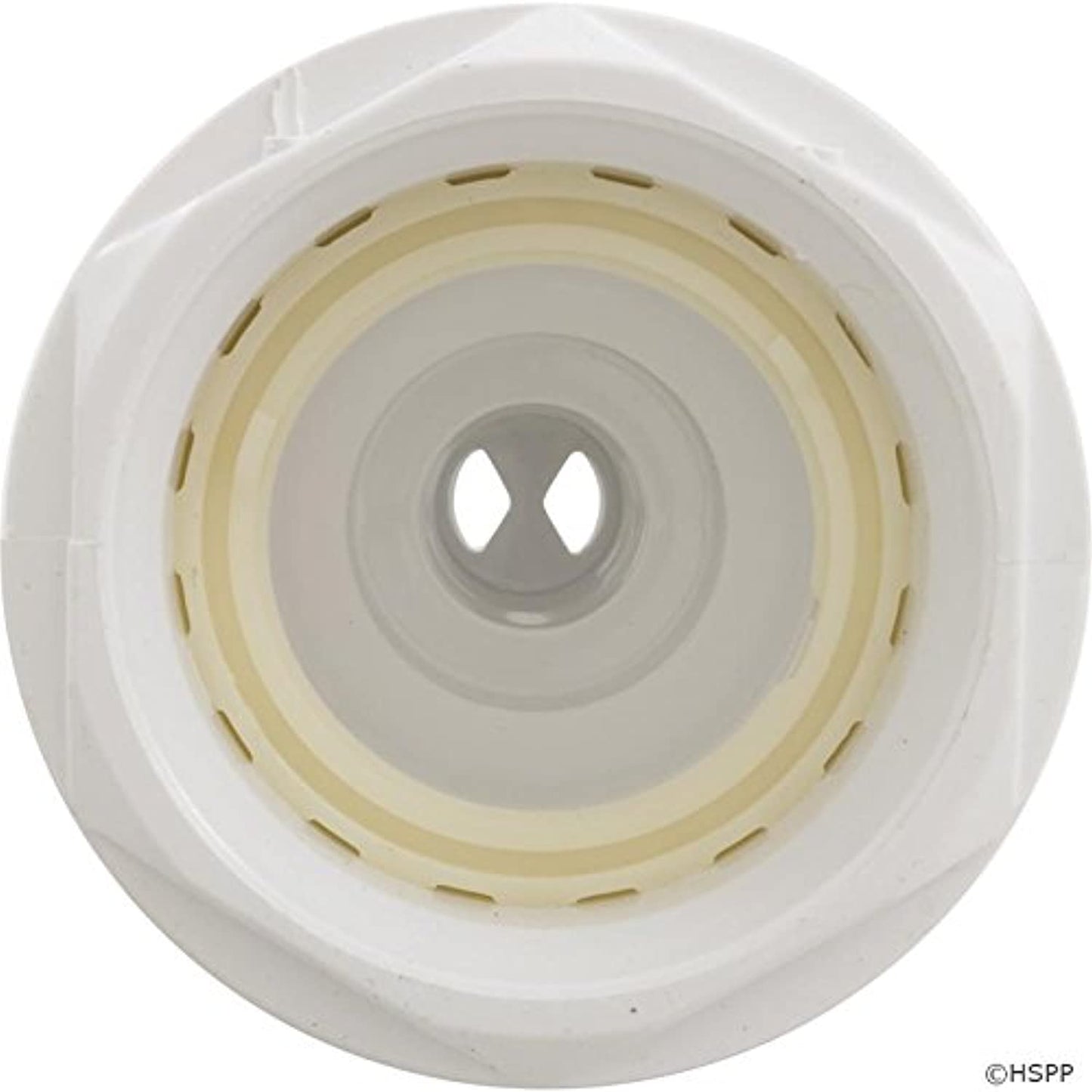 Waterway Plastics 228-6710 Power Storm Threaded Wall Fitting with 1 in. Socket