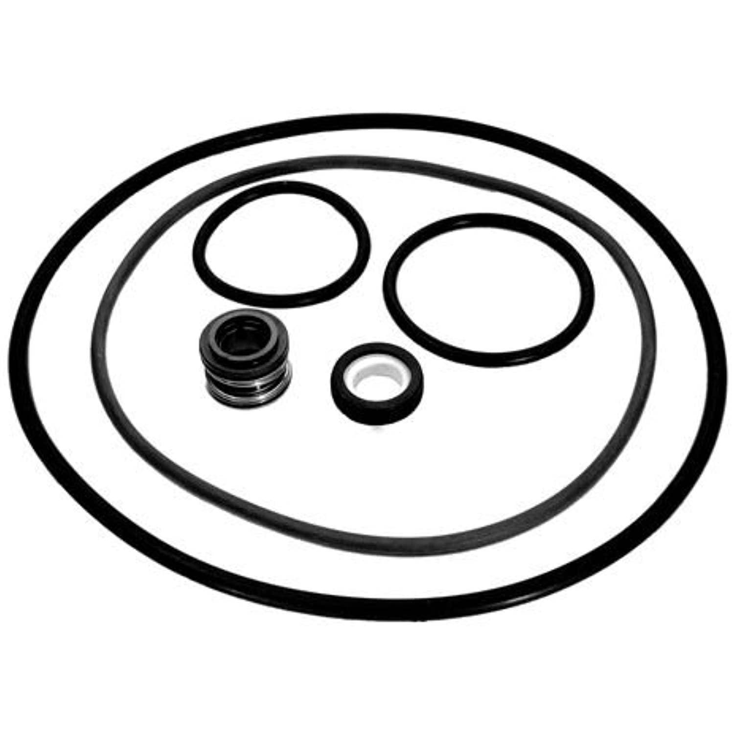 Hayward NorthStar Pool Pump Seal, O Rings Leak Repair Parts Prior 2003 Go Kit-66 - Getlegitdeals