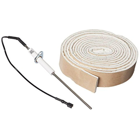 Zodiac R0458600 Flame Sensor Rod Replacement for Zodiac Jandy LXi Low NOx Pool and Spa Heaters,Black - Getlegitdeals