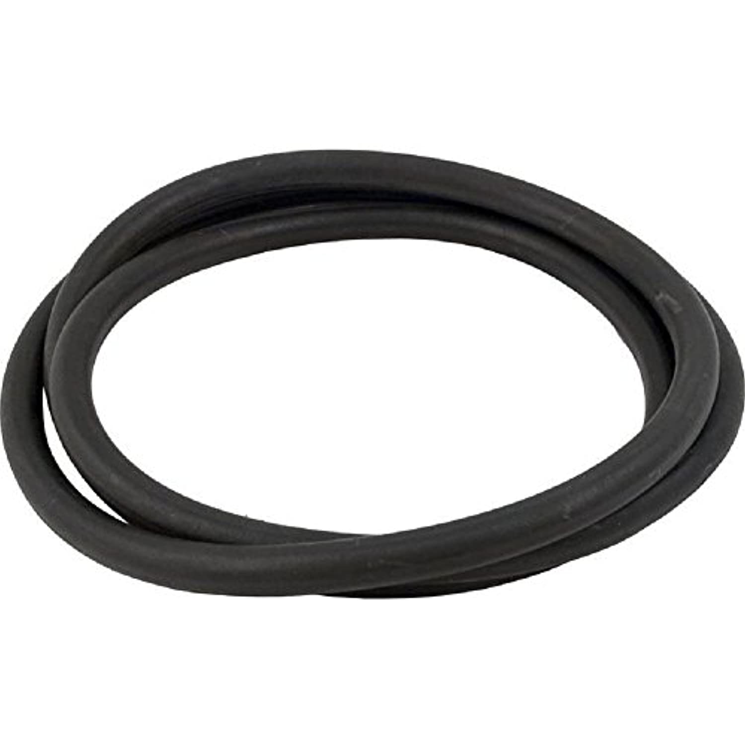 Pentair 24850-0009 25" Cord O-Ring for Tank - Getlegitdeals