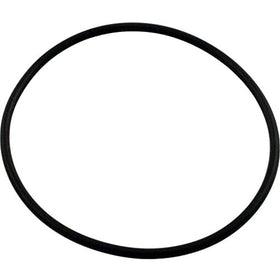 Waterway 805-0239 Serviceable Swing Check Valve Cover O-Ring by Waterway - Getlegitdeals