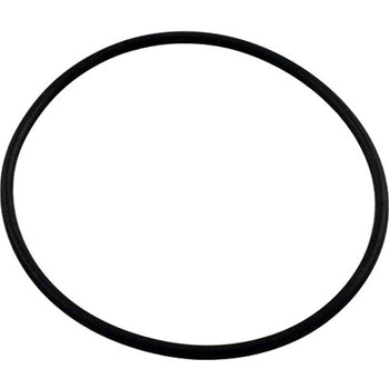 Waterway 805-0239 Serviceable Swing Check Valve Cover O-Ring by Waterway - Getlegitdeals