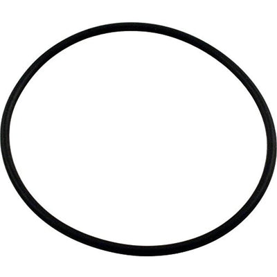 Waterway 805-0239 Serviceable Swing Check Valve Cover O-Ring by Waterway - Getlegitdeals