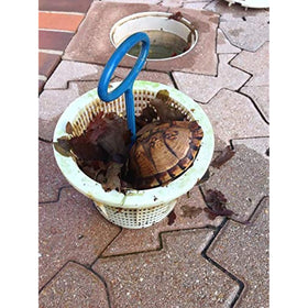 The Skimmer Angel GPIAngel Skimmer Basket Handle, 12"x4"x1.5", Blue - Getlegitdeals