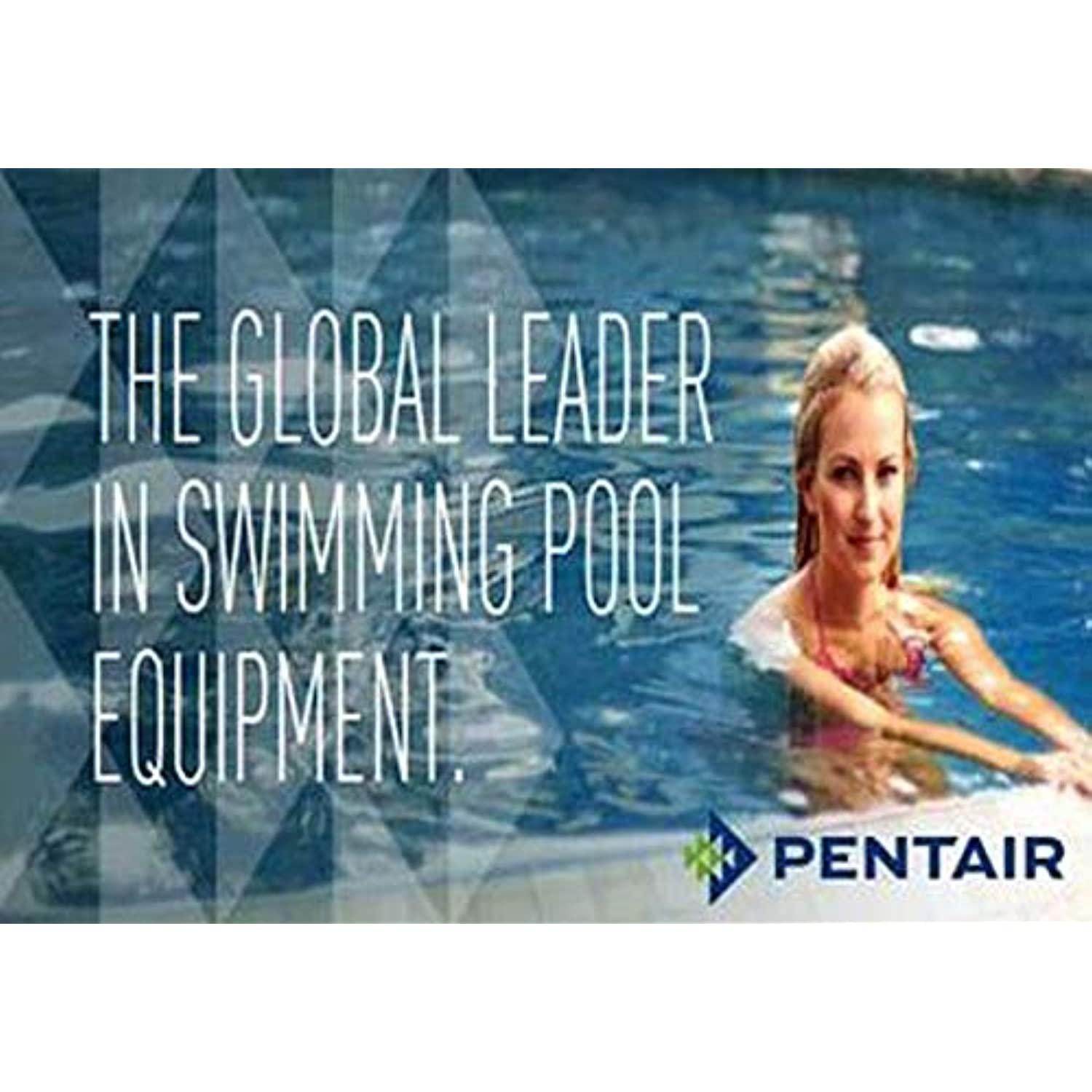 Pentair R121026 119 Blue Molded Frame Hand Skimmer with Reinforced Aluminum Handle - Getlegitdeals