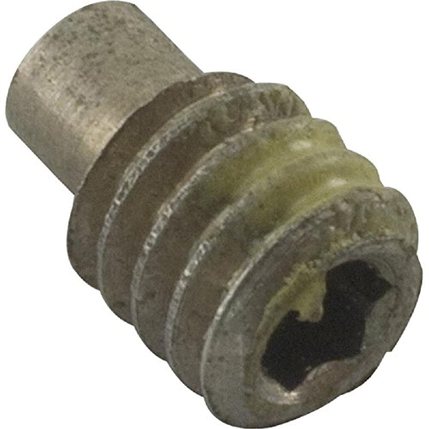 Pentair 354256 0.25-20 x 0.38" Shaft Extension Screw - Getlegitdeals