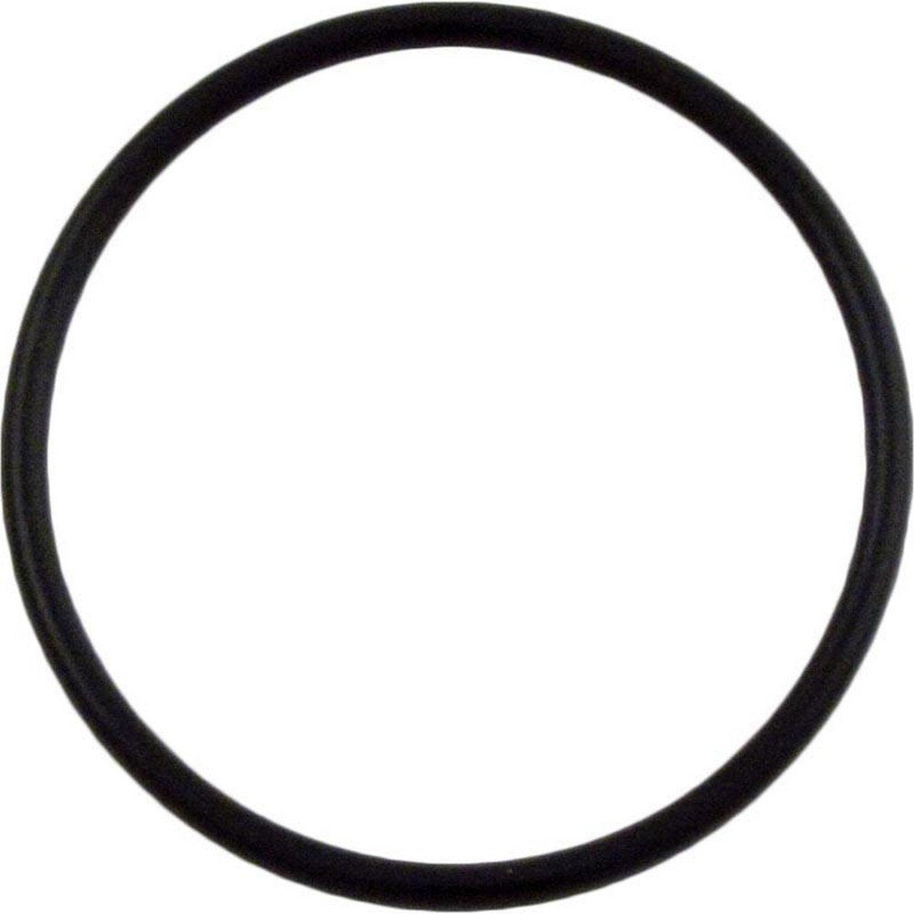 Waterway 805-0229 2-Inch Tailpiece O-Ring Replacement for Pool and Spa Heaters